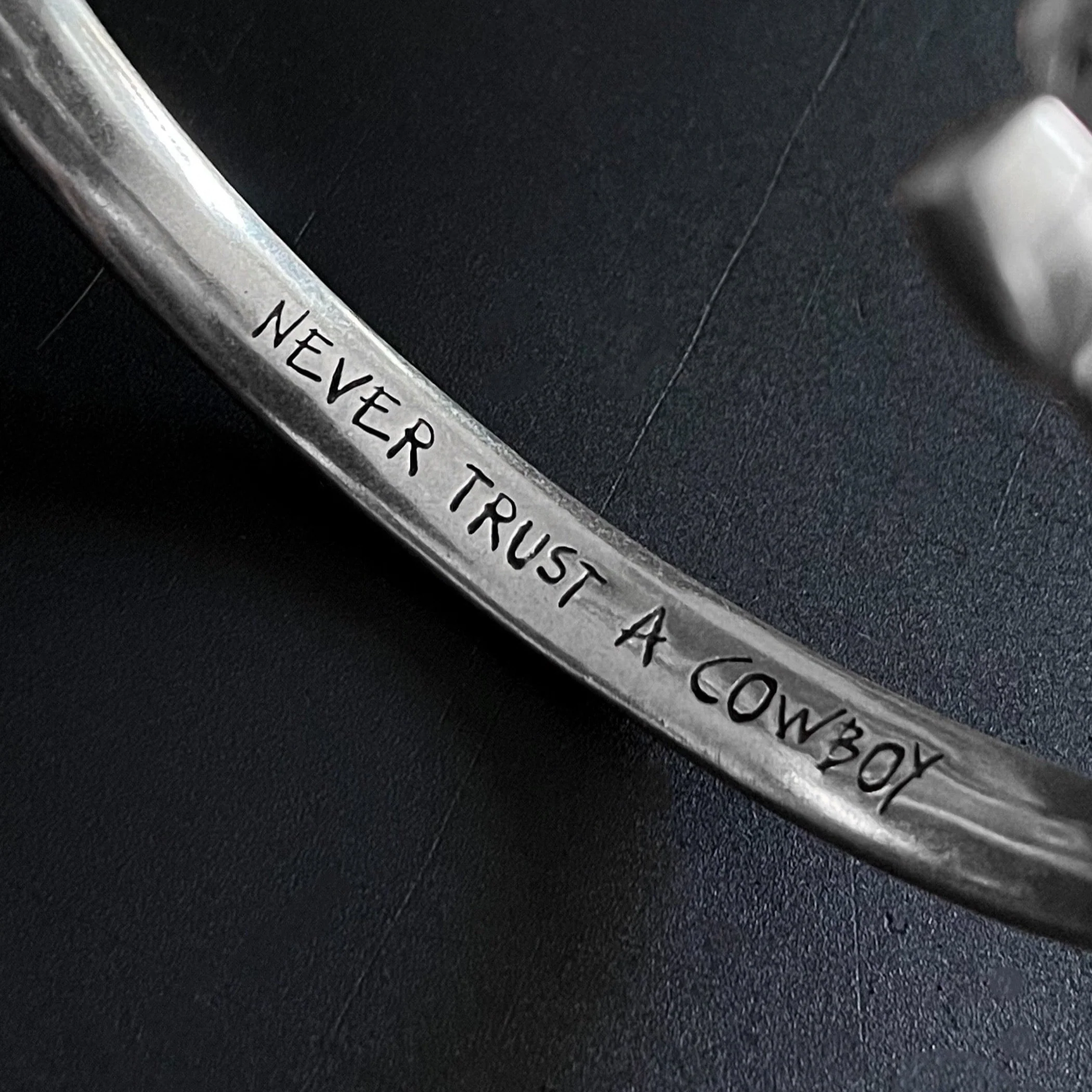 Never Trust a Cowboy - Image 5